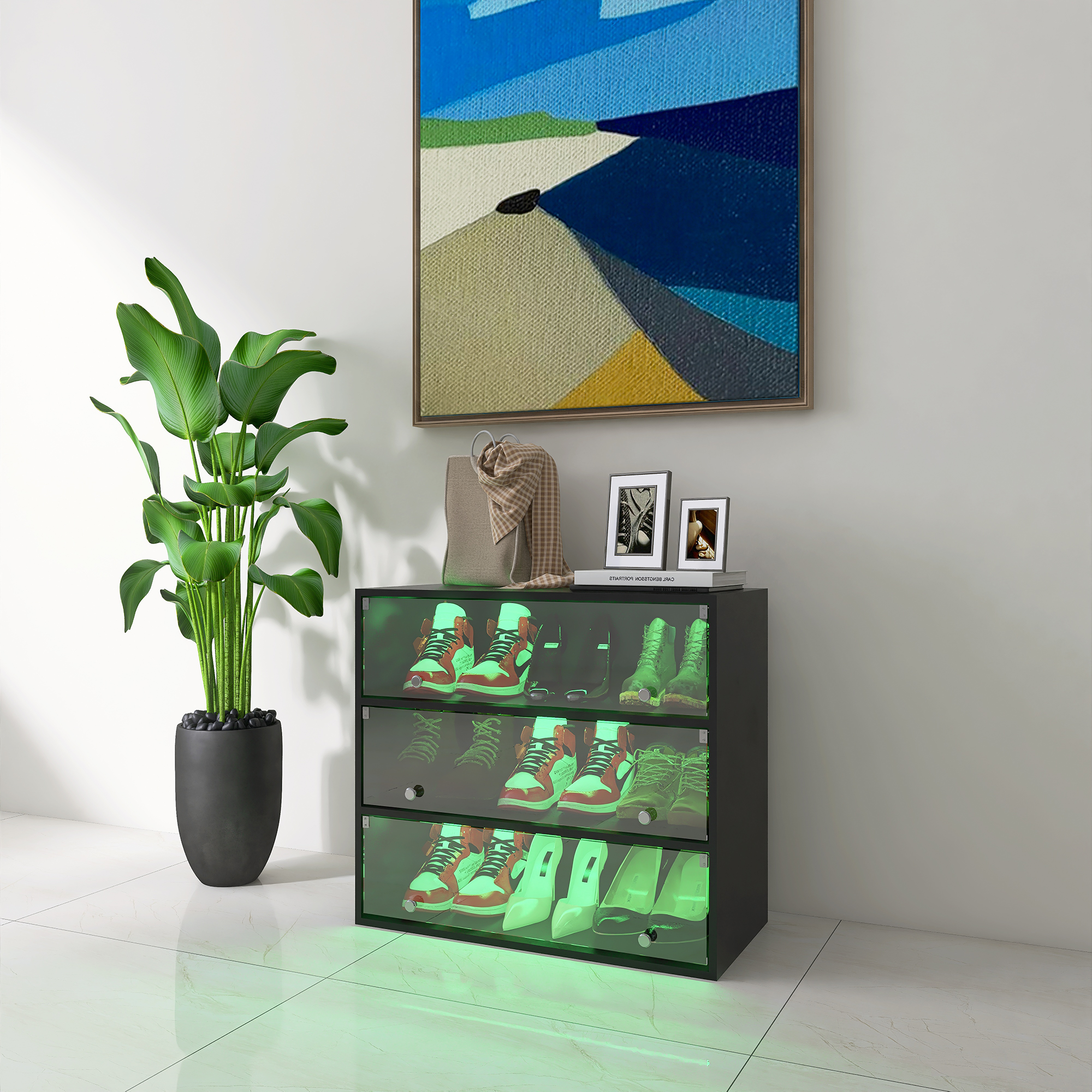 Black Shoe Cabinet with Glass Doors and LED light